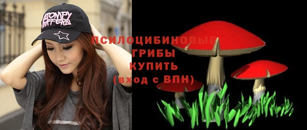 apvp Алзамай