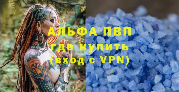 apvp Алзамай
