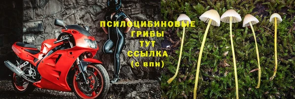 спиды Абаза