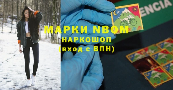 apvp Алзамай