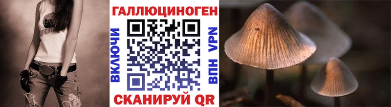 blacksprut зеркало  Алексин  Псилоцибиновые грибы мухоморы 