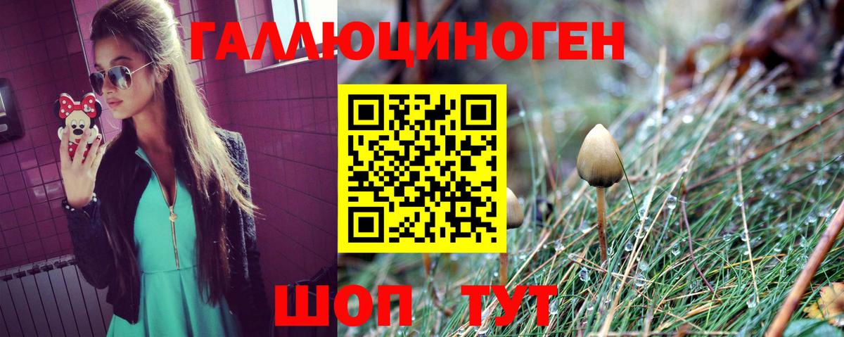 Псилоцибиновые грибы мухоморы Алексин