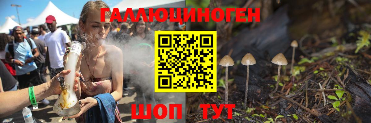 Алексин  Галлюциногенные грибы Cubensis  Вход с VPN  Псилоцибиновые грибы Psilocybine cubensis 